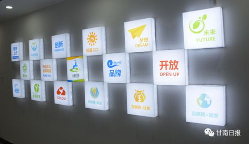 合作市電子商務公共服務中心正式啟動，賦能電商運營管理服務新篇章